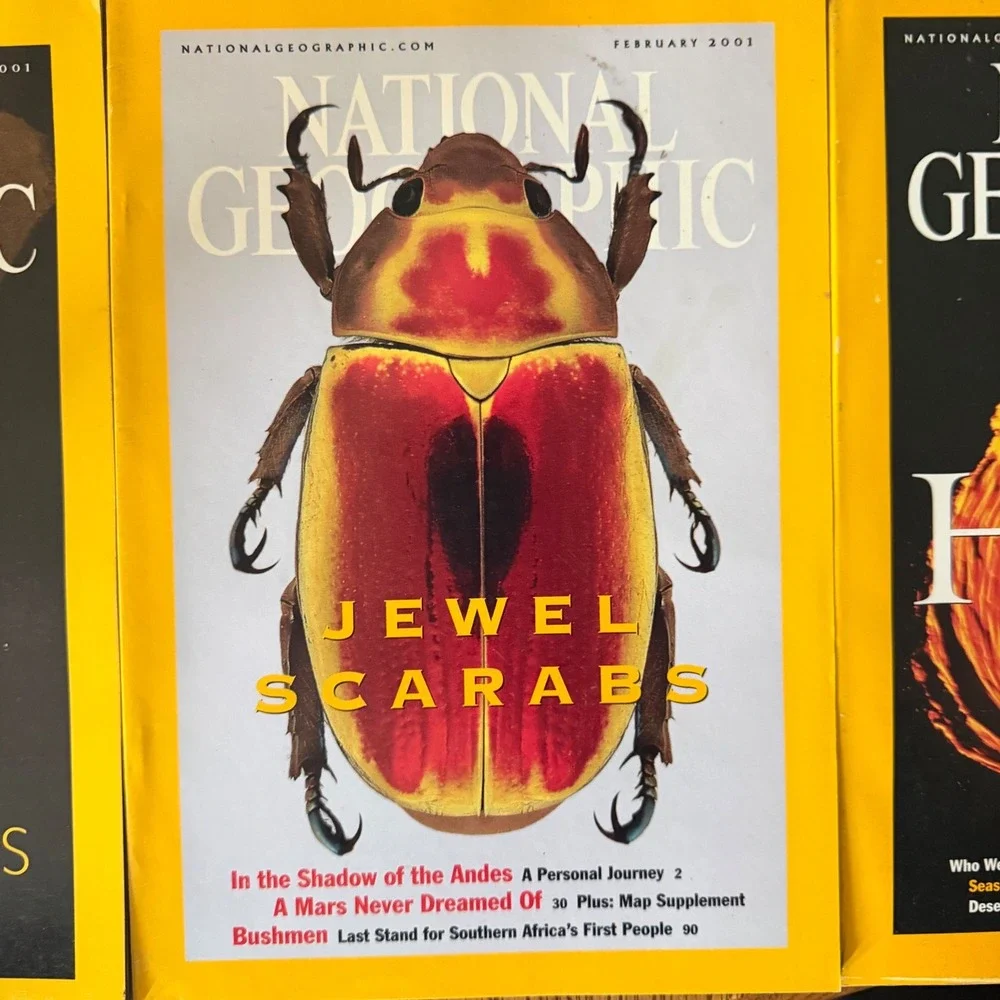 National Geographic Magazine Lot of 6 2001 2004 2005 Hawaii Owl Scarabs Africa